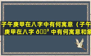 子午庚甲在八字中有何寓意（子午庚甲在八字 🐳 中有何寓意和象征）